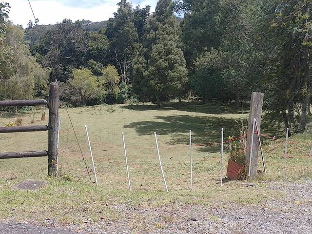 Terreno para Venta en Envigado - 3