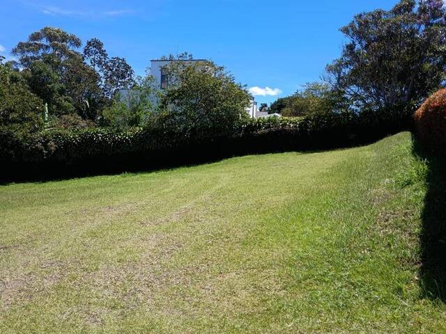 Terreno para Venta en Rionegro - 4