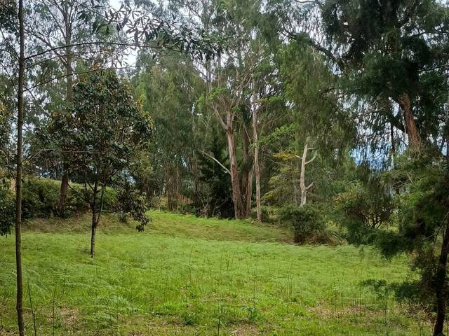 #5214 - Terreno para Venta en Rionegro - ANT - 2
