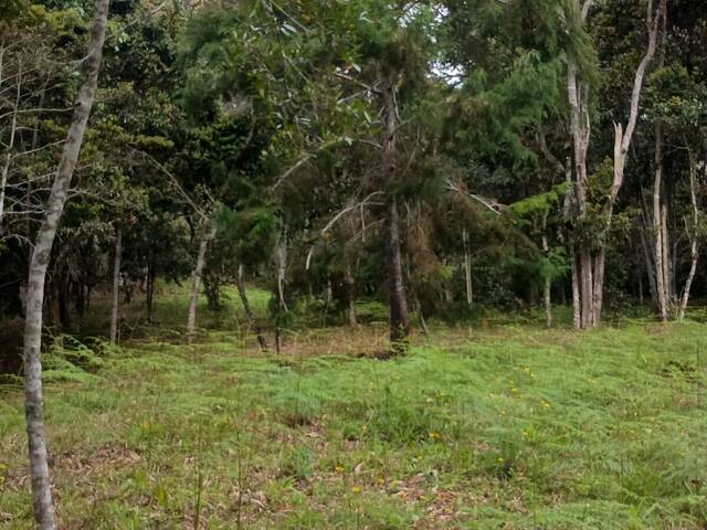 Terreno para Venta en Rionegro - 5