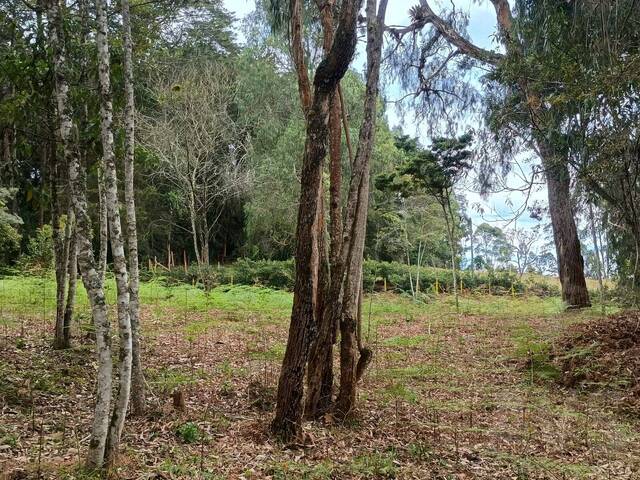 #5214 - Terreno para Venta en Rionegro - ANT - 3