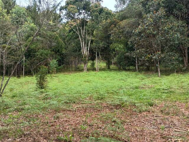 #5214 - Terreno para Venta en Rionegro - ANT - 1