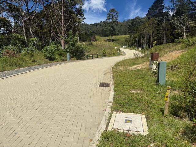 #5216 - Terreno para Venta en Rionegro - ANT - 3