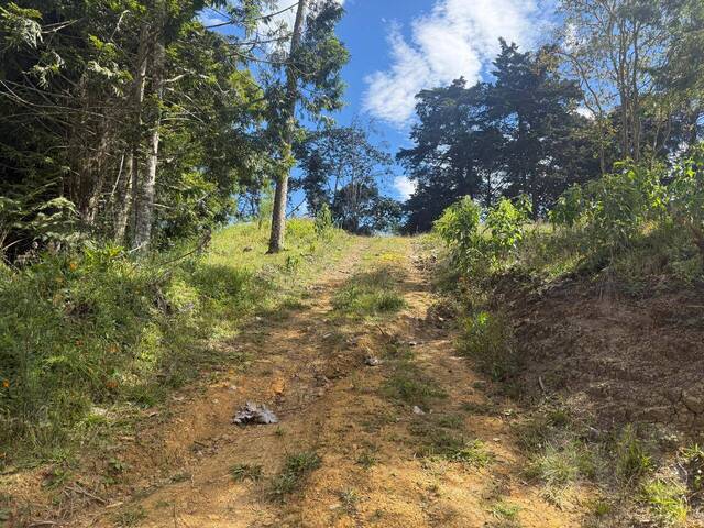 Terreno para Venta en Rionegro - 5