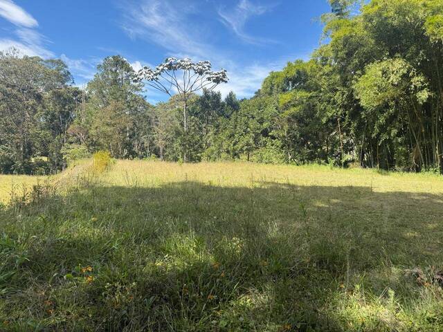 #5216 - Terreno para Venta en Rionegro - ANT - 2