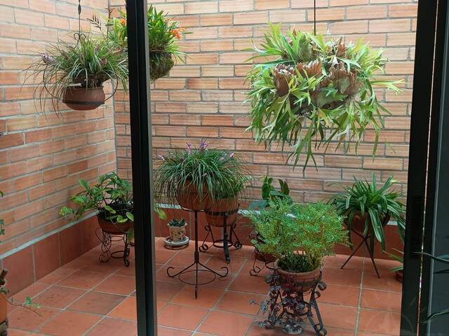Casa para Venta en Rionegro - 4