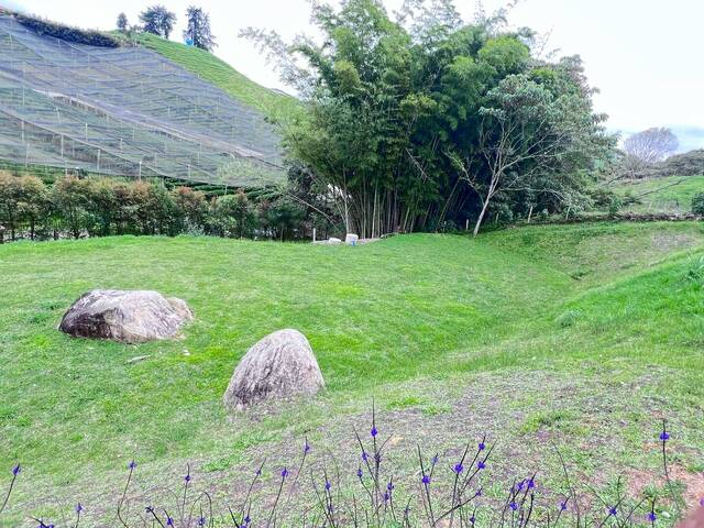 Terreno para Venta en Rionegro - 2