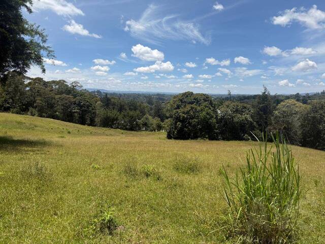 #5228 - Terreno para Venta en Rionegro - ANT - 3