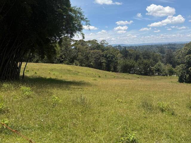 #5228 - Terreno para Venta en Rionegro - ANT - 1