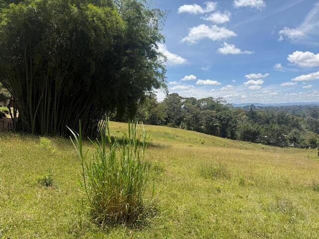 Terreno para Venta en Rionegro - 4