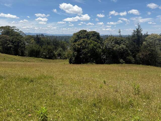 #5228 - Terreno para Venta en Rionegro - ANT - 2
