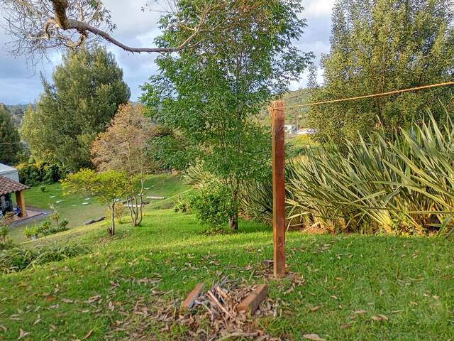 #5230 - Finca para Venta en Medellín - ANT - 3