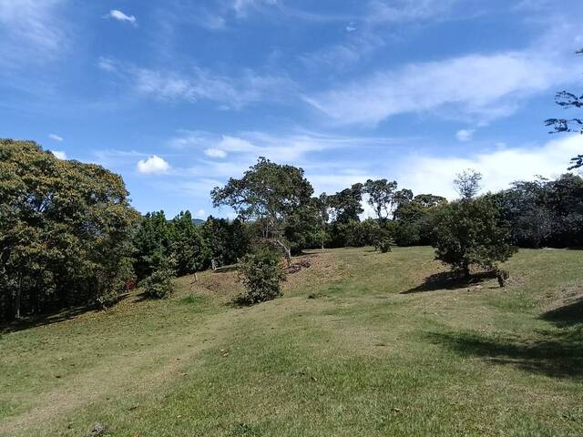 Venta en Sector Club Campestre Llanogrande - Rionegro