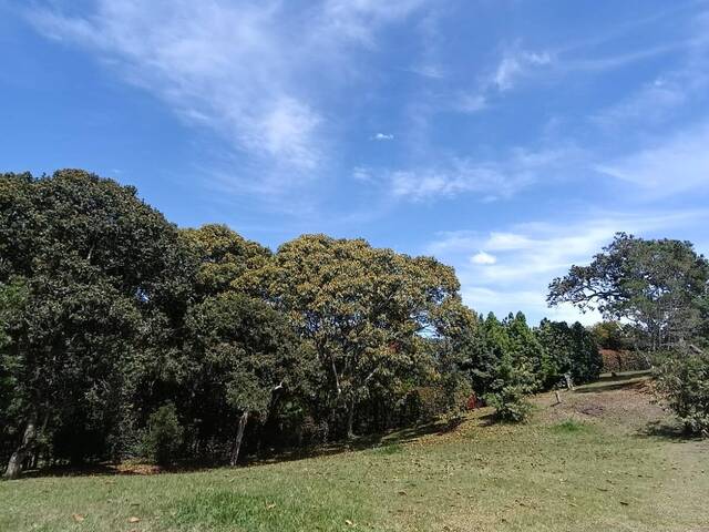 #5232 - Terreno para Venta en Rionegro - ANT - 2