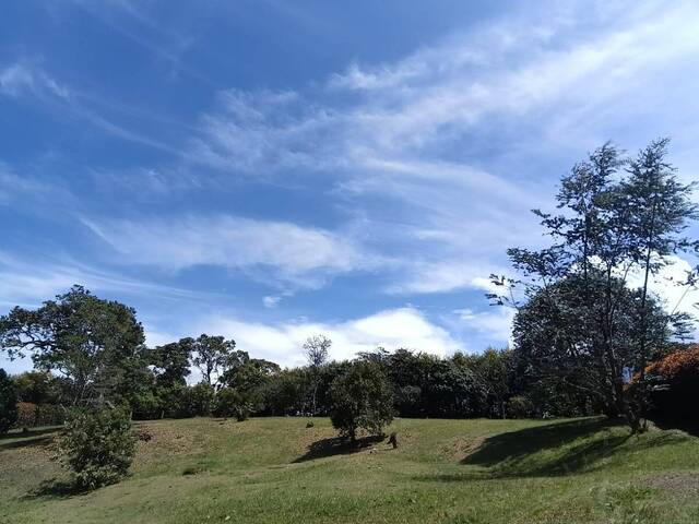 #5232 - Terreno para Venta en Rionegro - ANT - 3