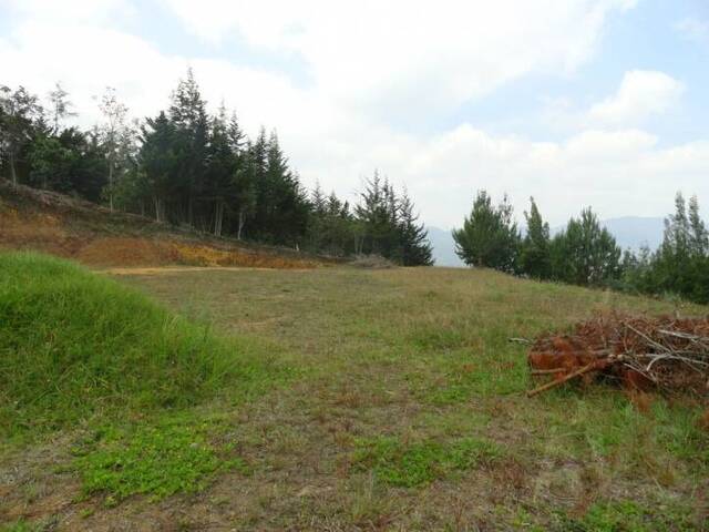 #316 - Terreno para Venta en Retiro - ANT - 1