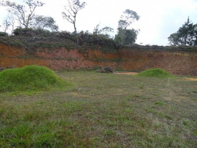 #316 - Terreno para Venta en Retiro - ANT - 2