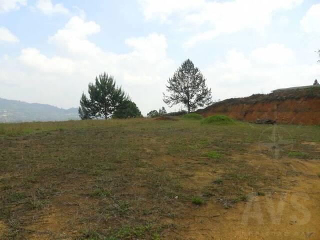 #316 - Terreno para Venta en Retiro - ANT - 3