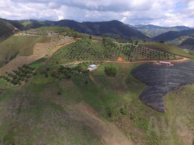Venta en Vereda Piedras - La Ceja