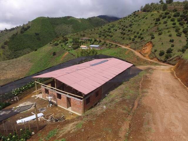 Finca para Venta en La Ceja - 2