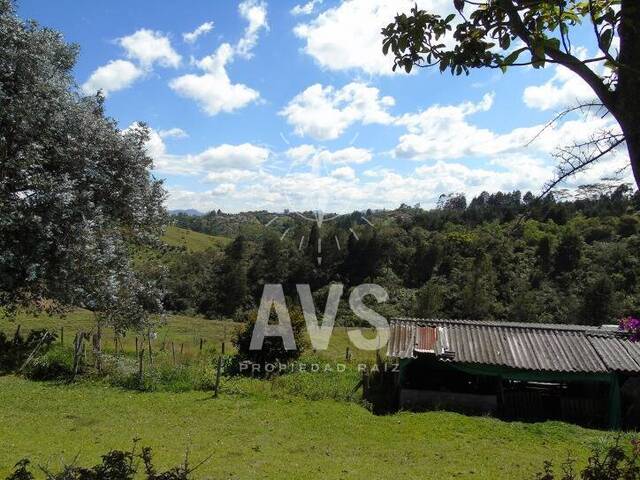 Finca para Venta en Rionegro - 4