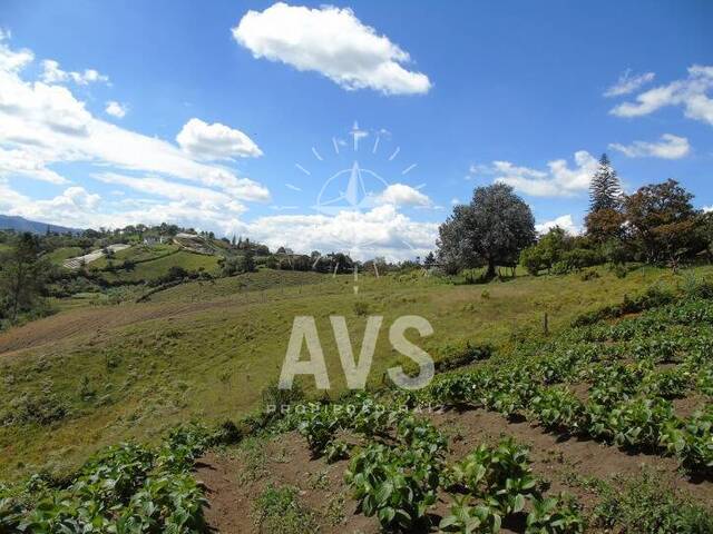 Finca para Venta en Rionegro - 5