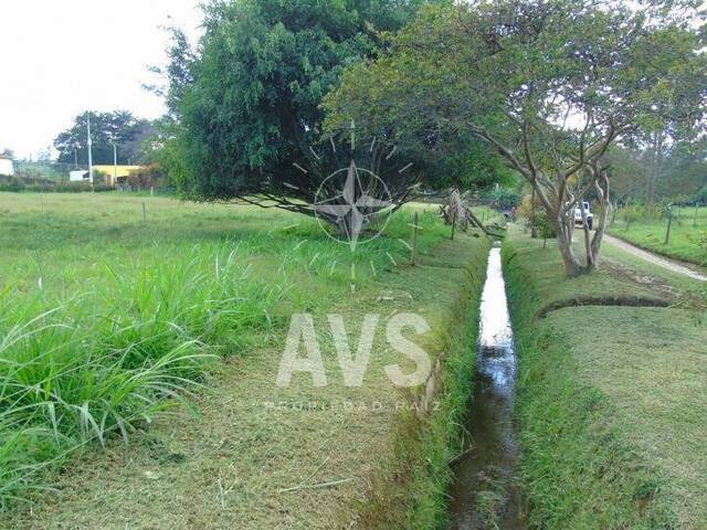 Terreno para Venta en Rionegro - 3