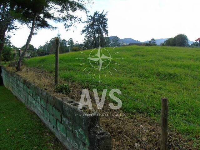 Terreno para Venta en Rionegro - 5