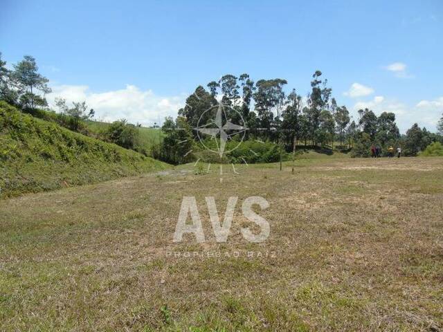 Terreno para Venta en Santuario - 4