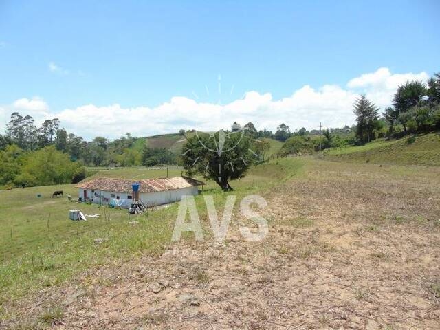 Terreno para Venta en Santuario - 5