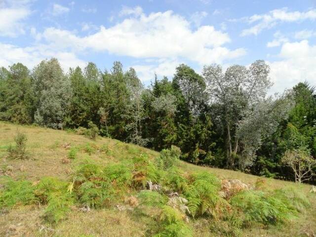 Terreno para Venta en Rionegro - 4
