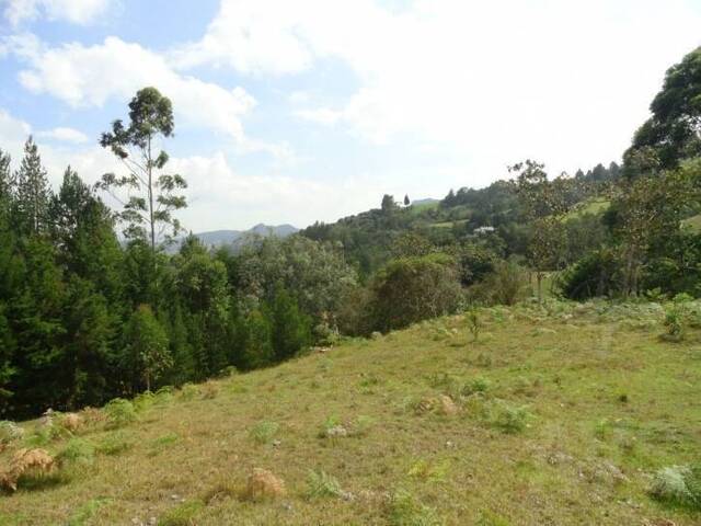 Terreno para Venta en Rionegro - 5