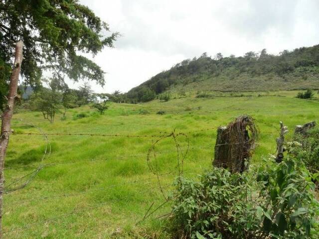 Terreno para Venta en Rionegro - 3
