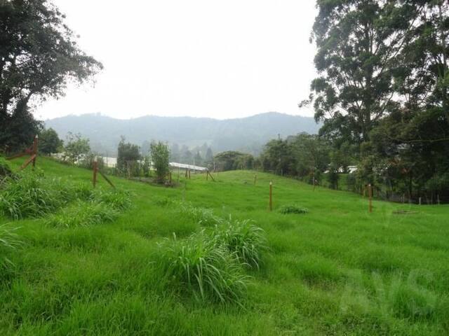 Finca para Venta en Rionegro - 4