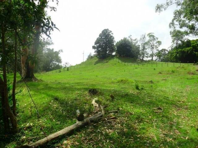 #239 - Terreno para Venta en Rionegro - ANT - 1