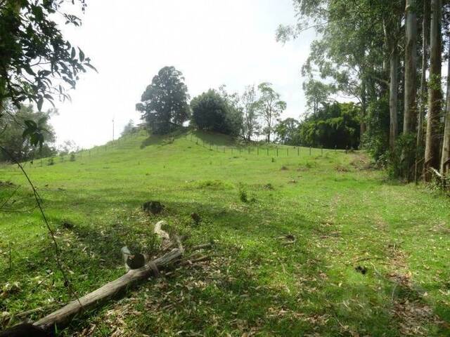 #239 - Terreno para Venta en Rionegro - ANT - 2