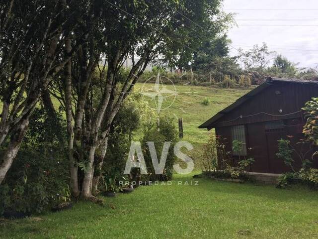 Finca para Venta en Carmen de Viboral - 4