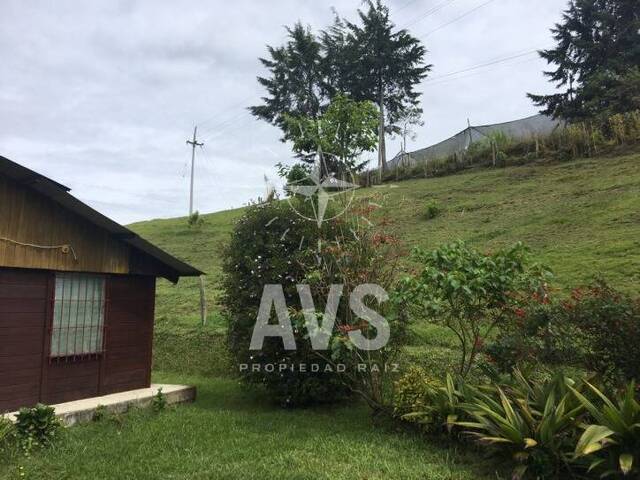 Finca para Venta en Carmen de Viboral - 5