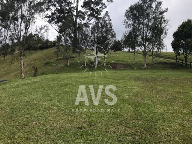 Finca para Venta en Rionegro - 2