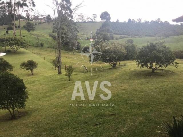 Finca para Venta en Rionegro - 3