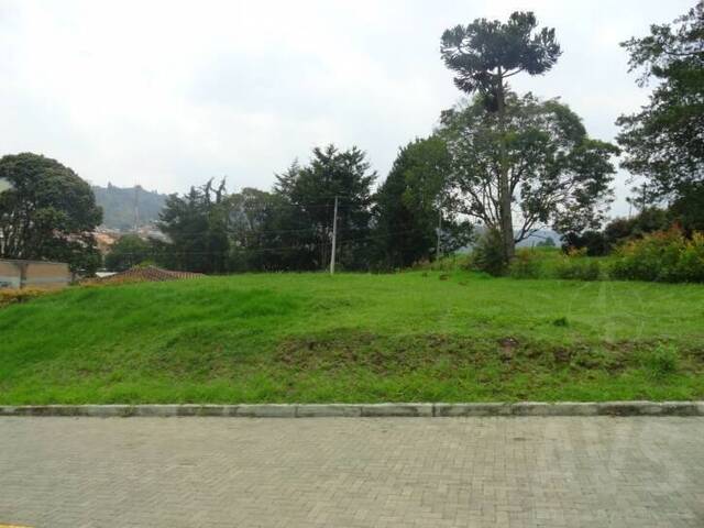 Terreno para Venta en Retiro - 3