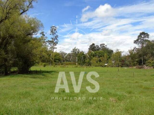 #1888 - Terreno para Venta en Rionegro - ANT - 1