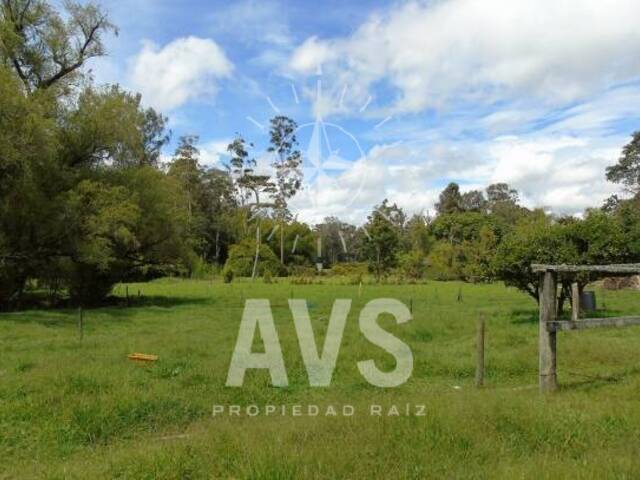 #1888 - Terreno para Venta en Rionegro - ANT - 3