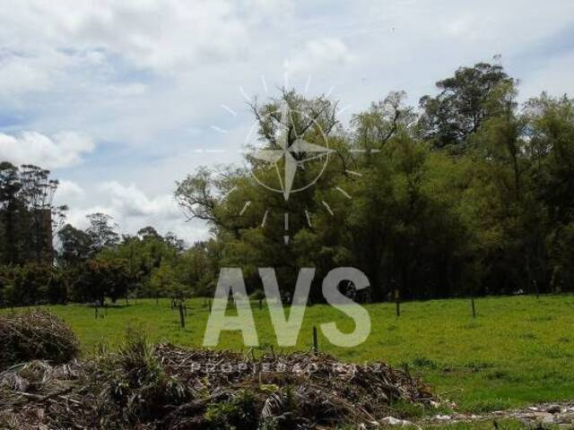 Terreno para Venta en Rionegro - 4