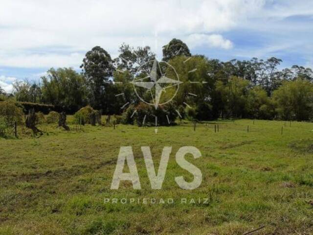 #1890 - Terreno para Venta en Rionegro - ANT - 1