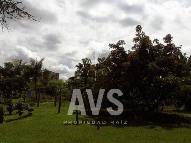 #1890 - Terreno para Venta en Rionegro - ANT - 3