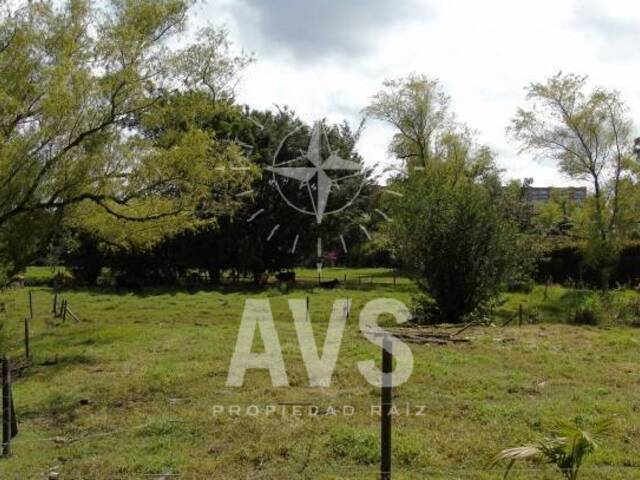 Terreno para Venta en Rionegro - 4