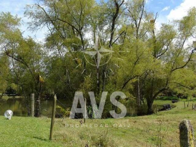 Terreno para Venta en Rionegro - 5