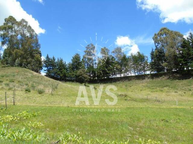 Terreno para Venta en Envigado - 5