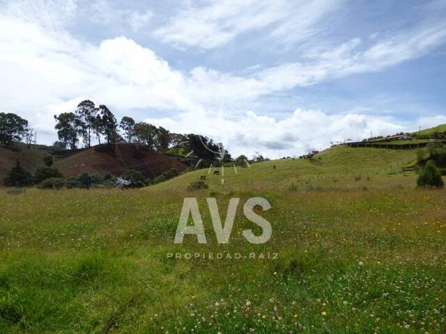 Terreno para Venta en La Ceja - 4